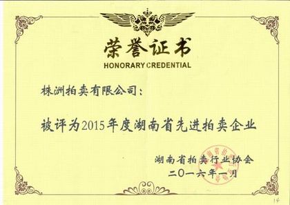 2015 年度湖南省先进拍卖企业